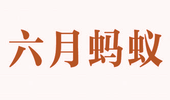 六月蚂蚁