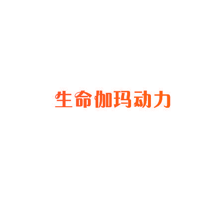 生命伽玛动力