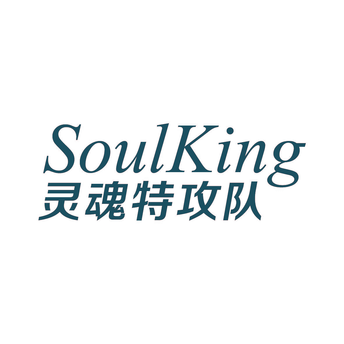 灵魂特攻队 SOULKING