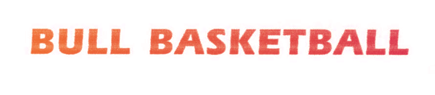 BULL BASKETBALL