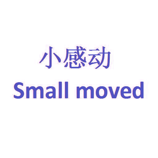 小感动 SMALL MOVED