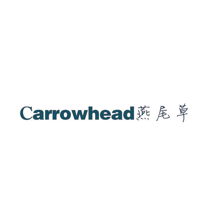 燕尾草 CARROWHEAD