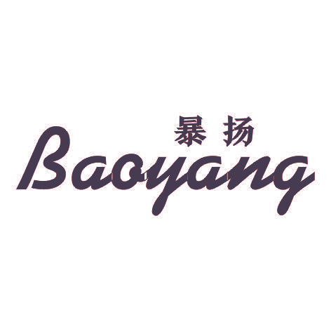 暴扬BAOYANG
