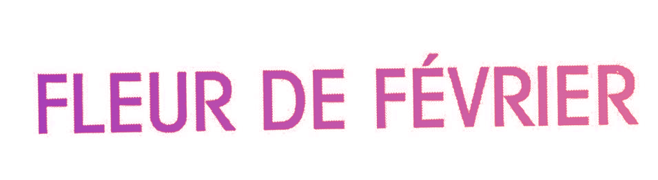 FLEUR DE FEVRIER