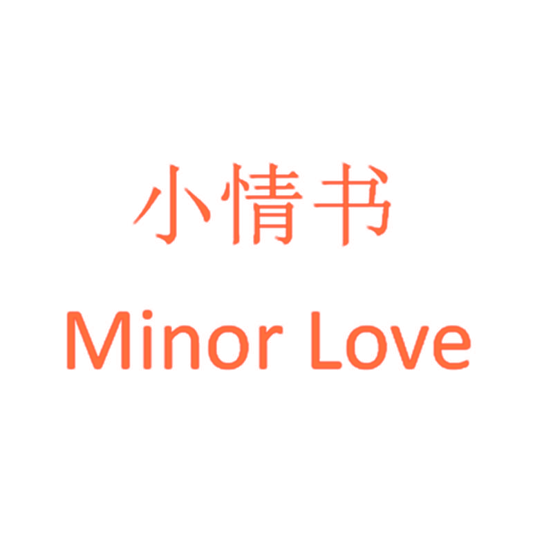 小情书 MINOR LOVE
