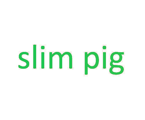 SLIM PIG
