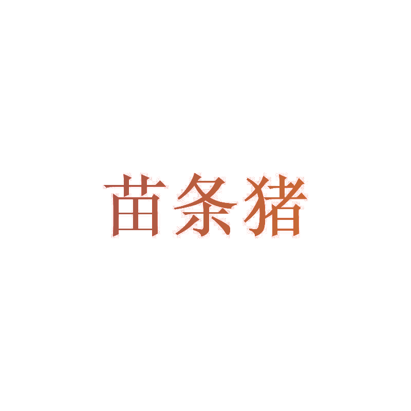 苗条猪