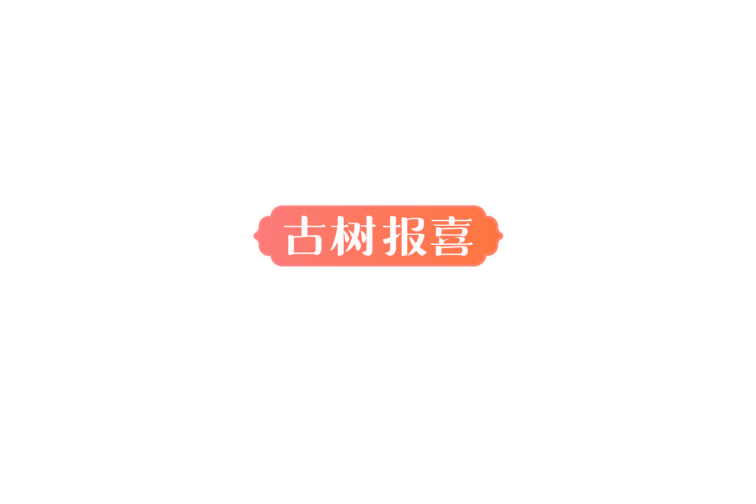 古树报喜