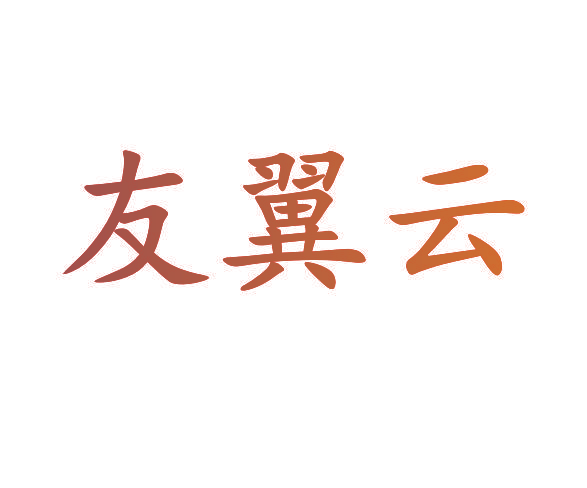 友翼云