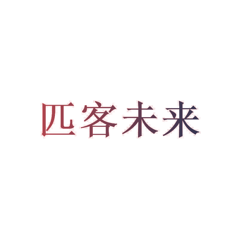 匹客未来
