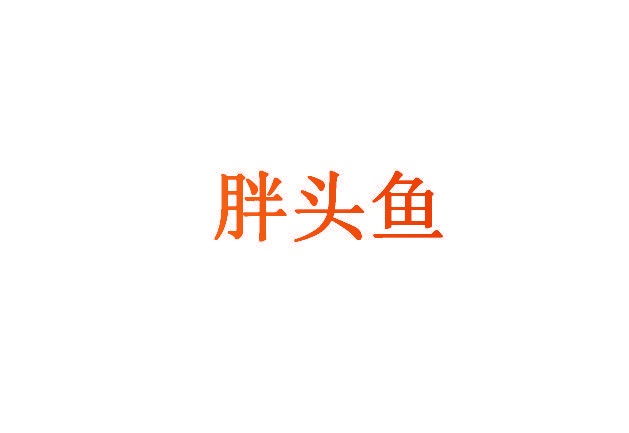 胖头鱼