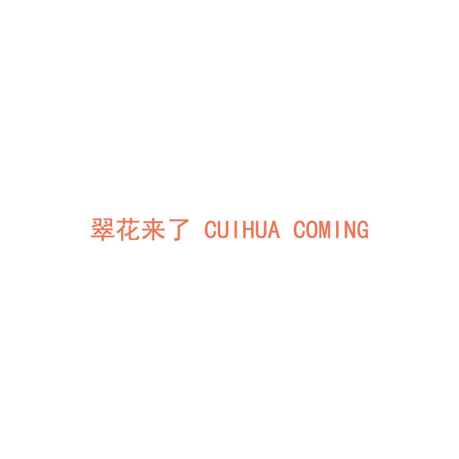 翠花来了  CUIHUA COMING