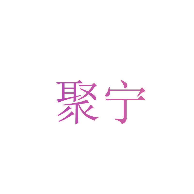聚宁