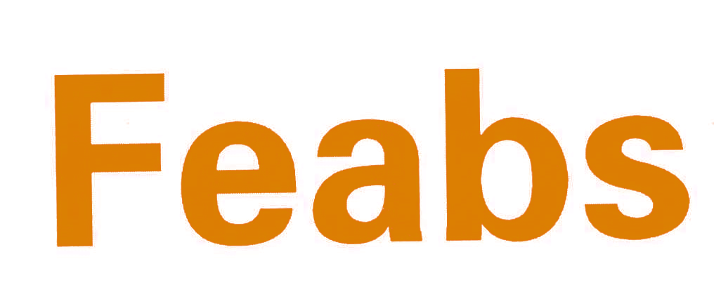 FEABS