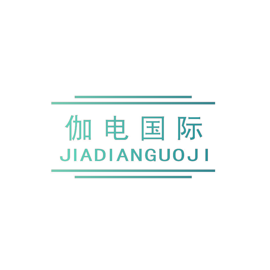 伽电国际