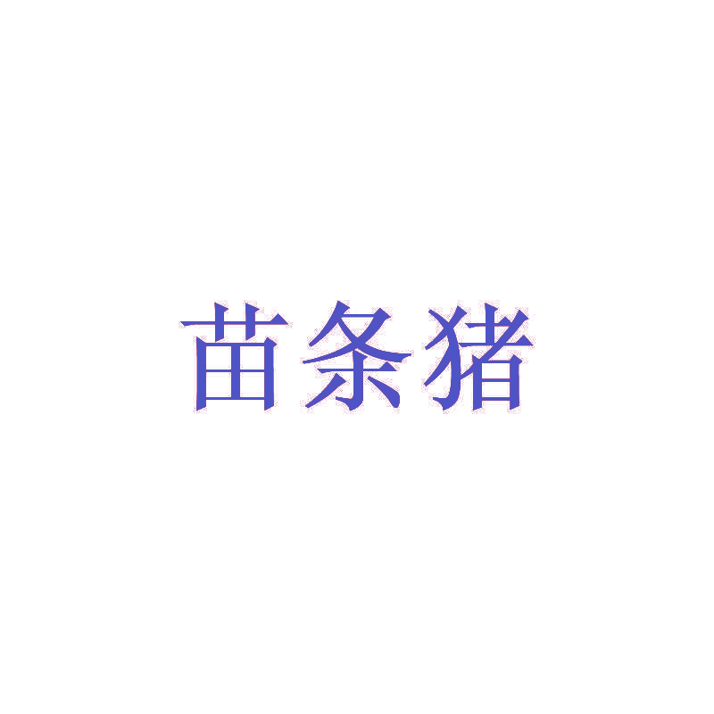 苗条猪