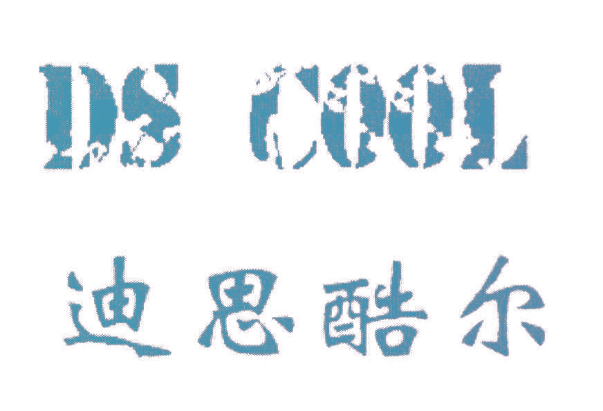 迪思酷尔,DSCOOL