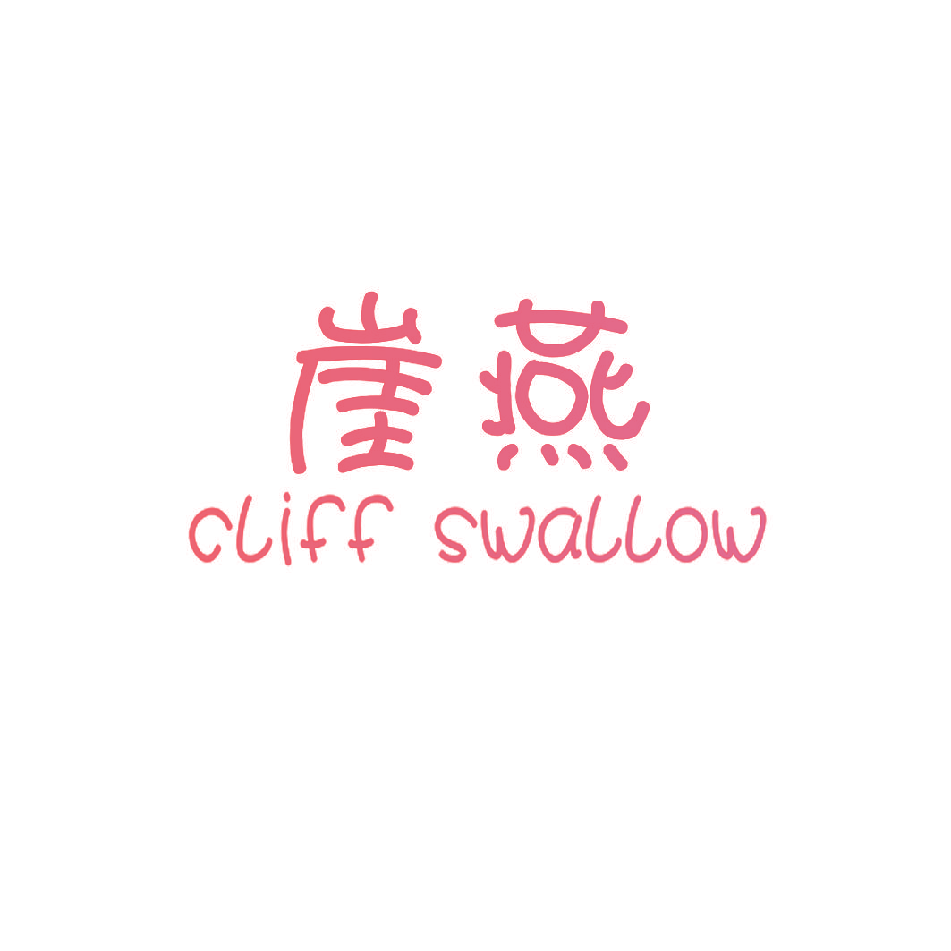 崖燕 CLIFF SWALLOW