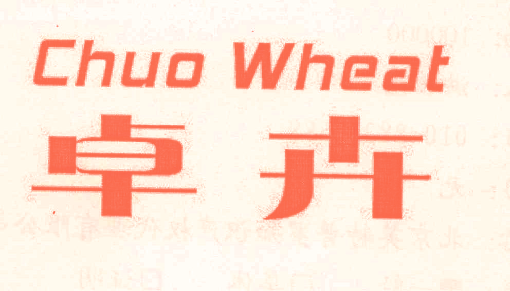卓卉 CHUO WHEAT