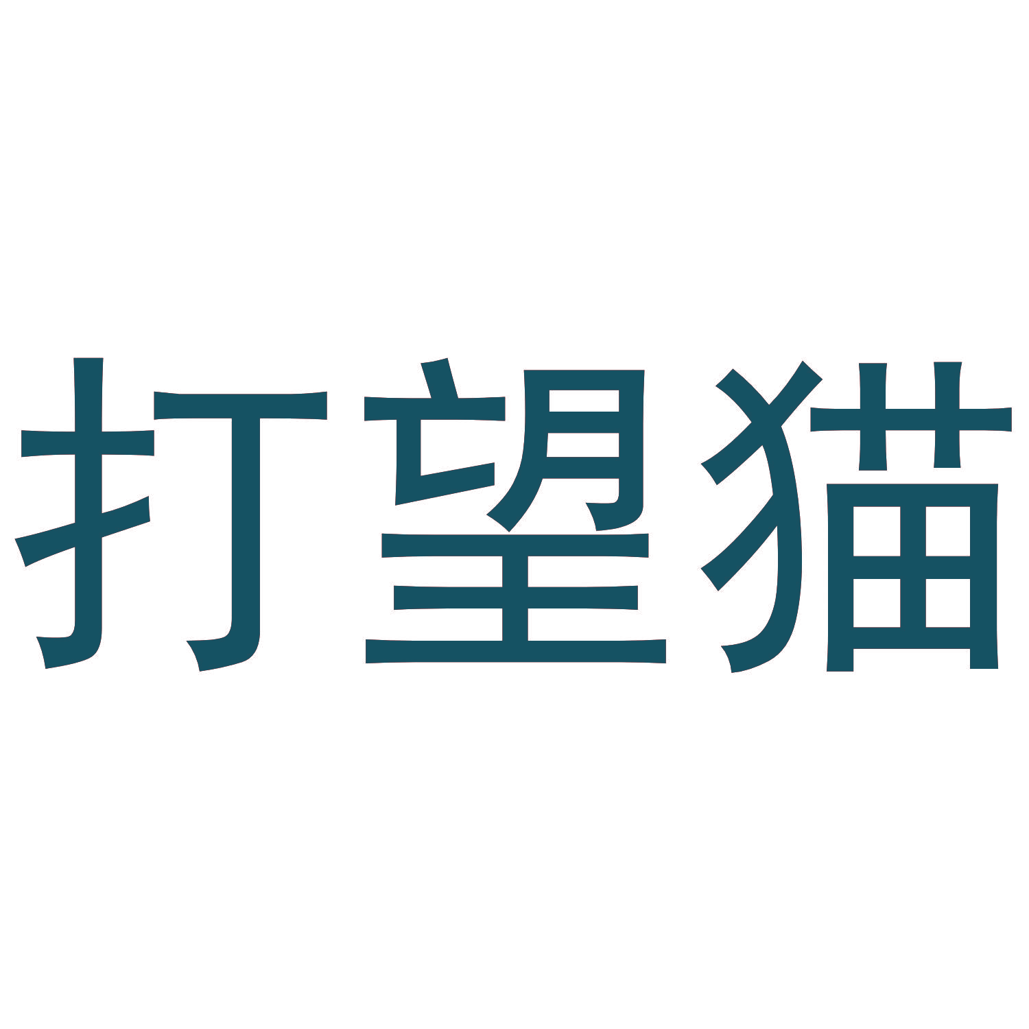 打望猫
