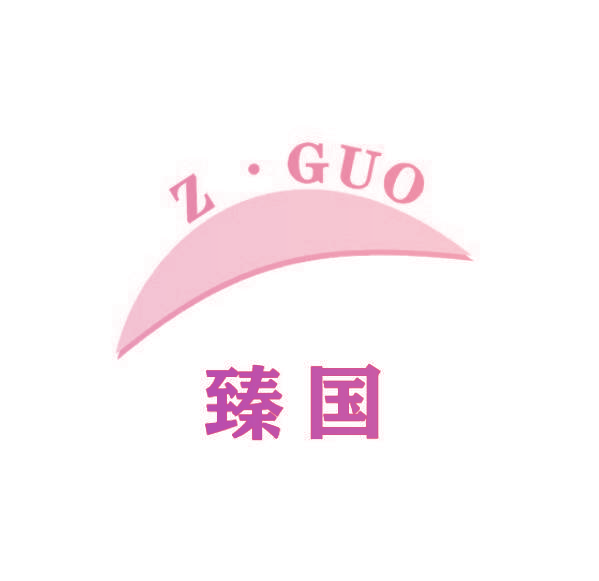 臻国 Z·GUO