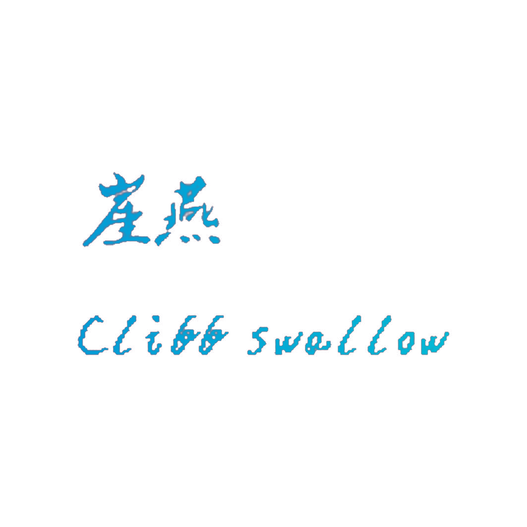 崖燕 CLIFF SWALLOW