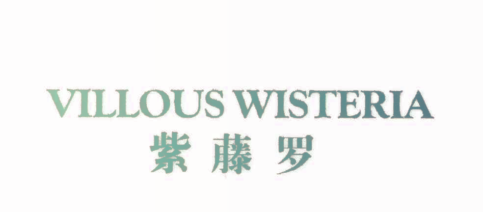 紫藤罗,VILLOUSWISTERLA