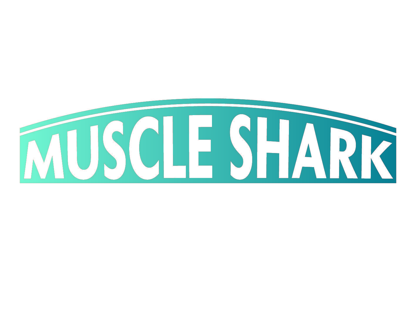 MUSCLE SHARK