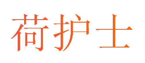 荷护士
