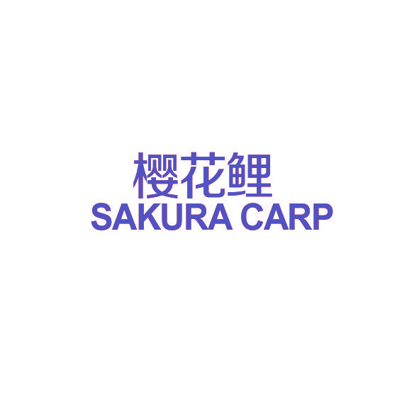 樱花鲤  SAKURA CARP