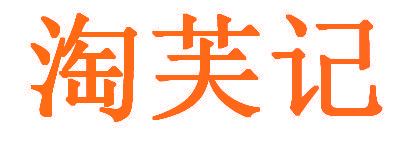 淘芙记