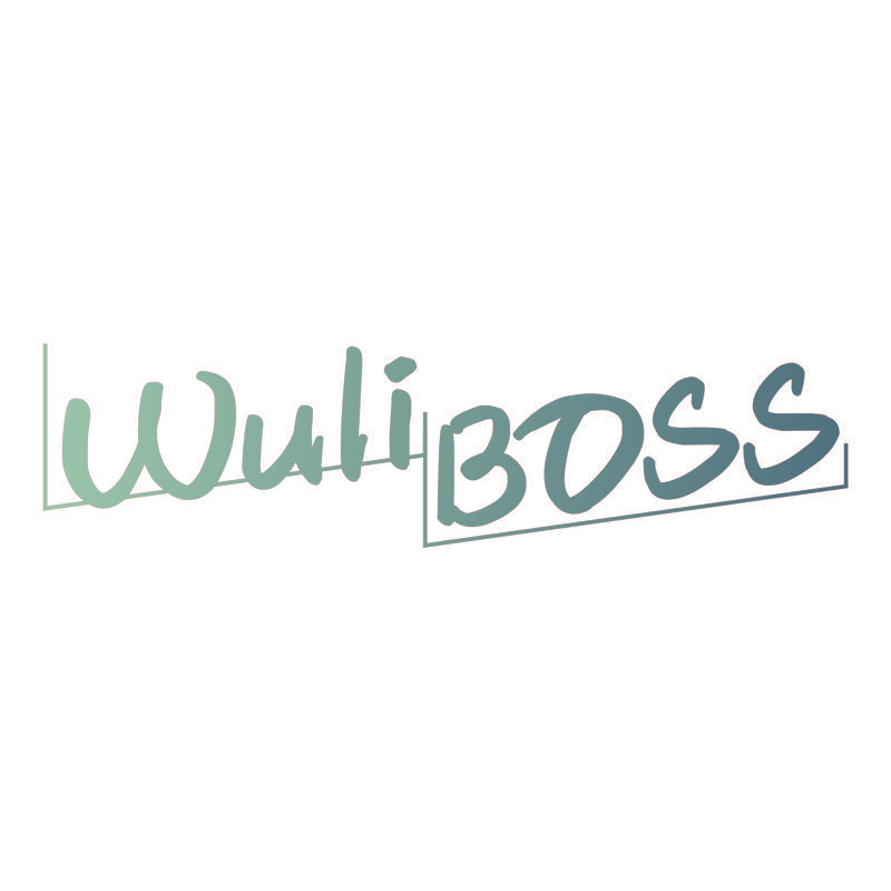 WULIBOSS