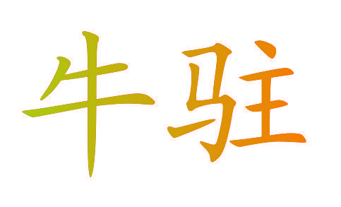 牛驻