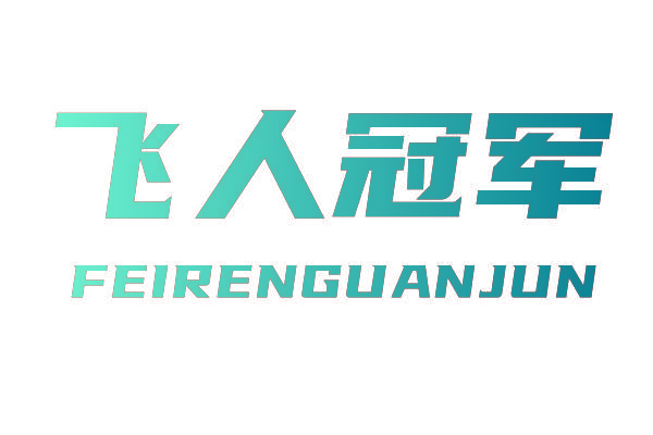 飞人冠军