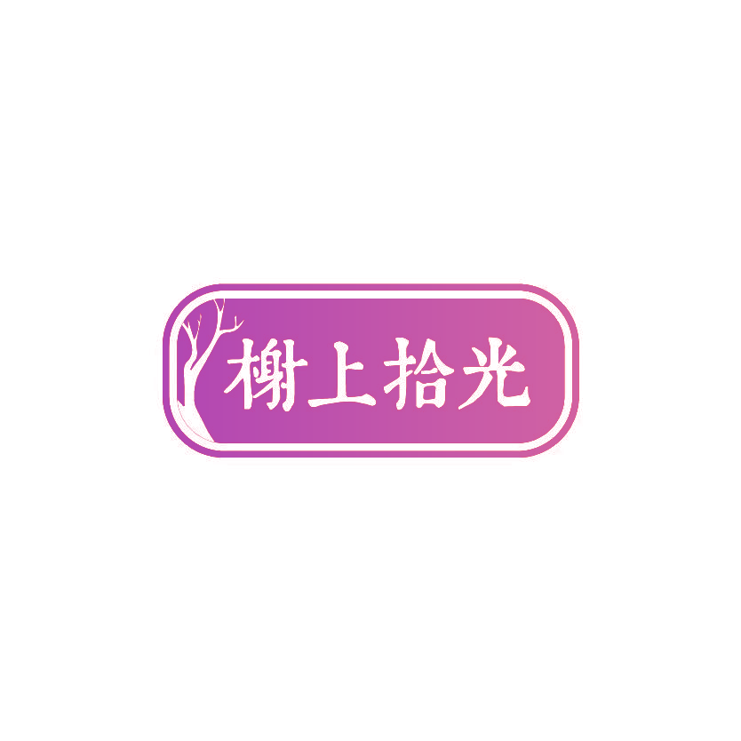 榭上拾光