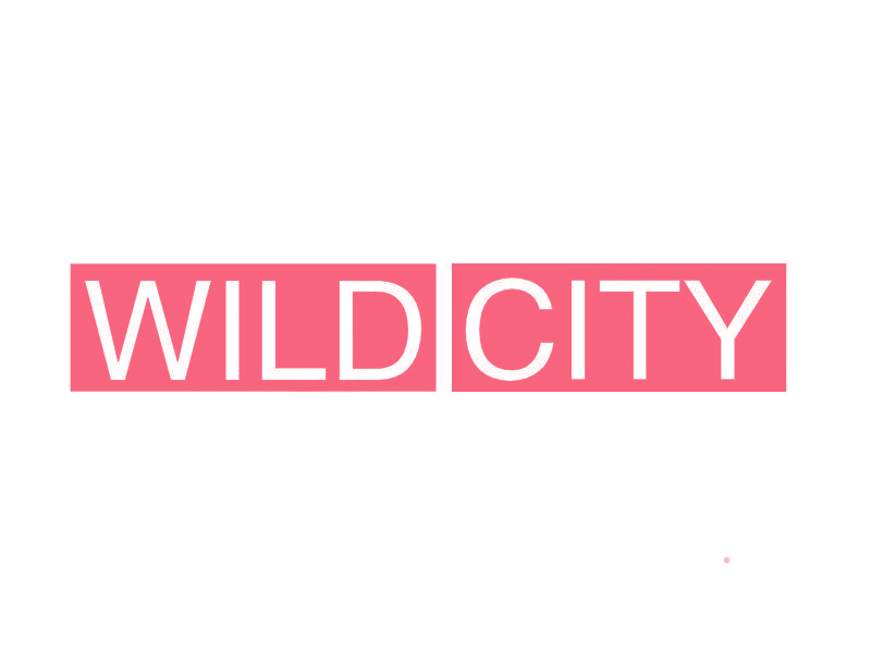 WILD CITY