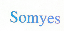 SOMYES