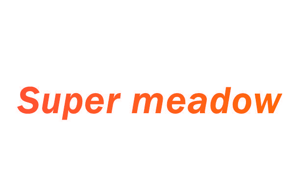 SUPER MEADOW