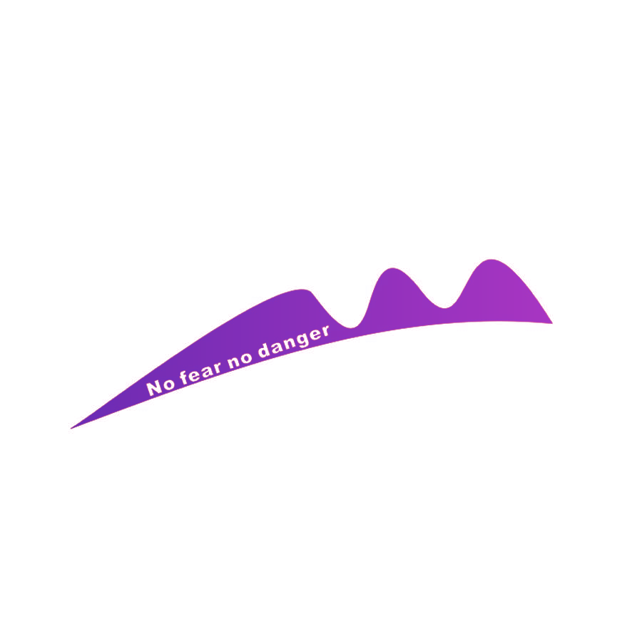 NO FEAR NO DANGER