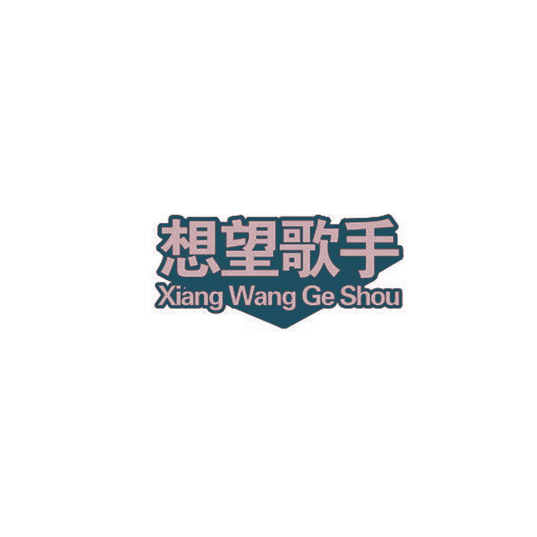 想望歌手