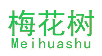 梅花树