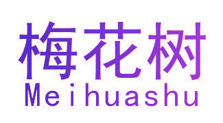 梅花树