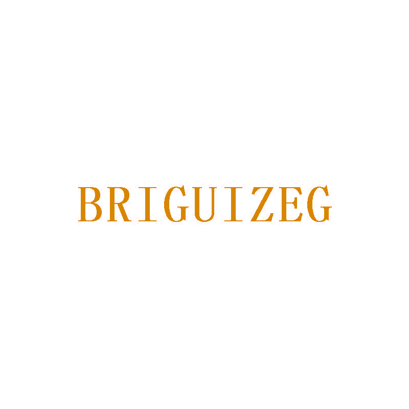 BRIGUIZEG