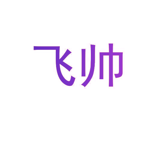 飞帅