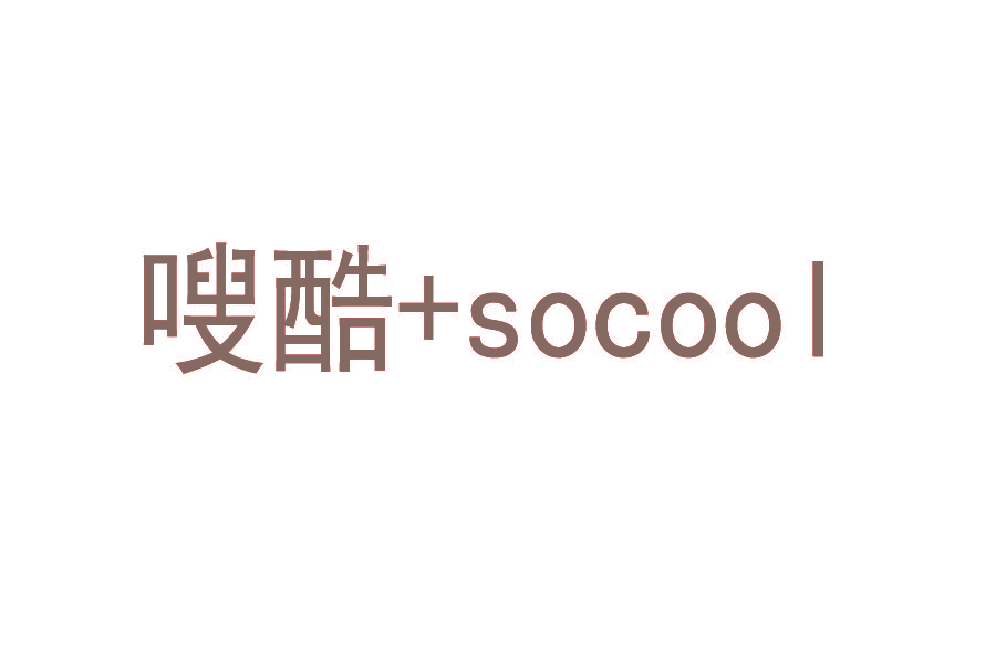 嗖酷+SOCOOL
