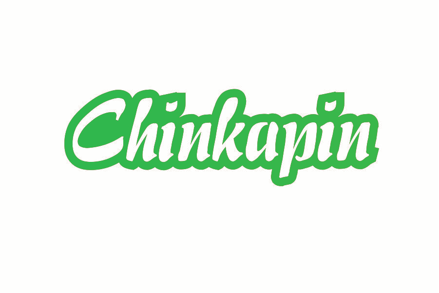 CHINKAPIN