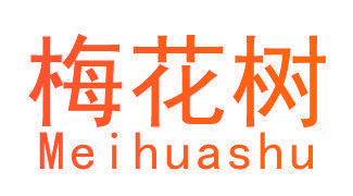 梅花树
