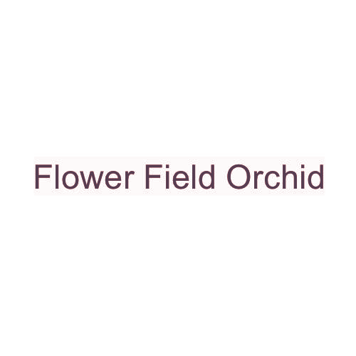 FLOWER FIELD ORCHID