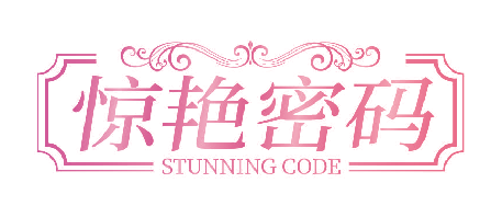 惊艳密码 STUNNING CODE
