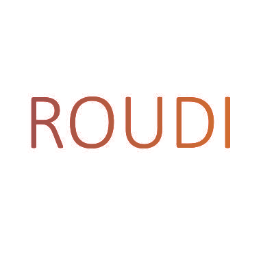 ROUDI